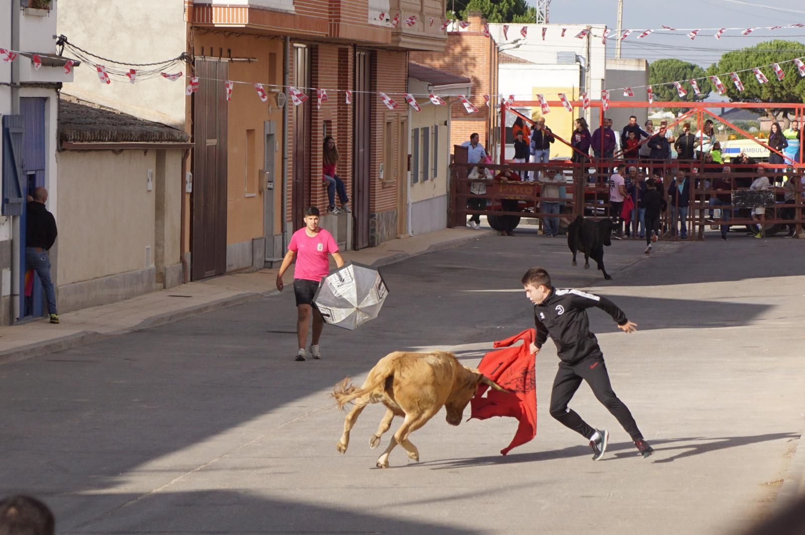 whatsapp-image-2024-09-08-at-14-04-56-2