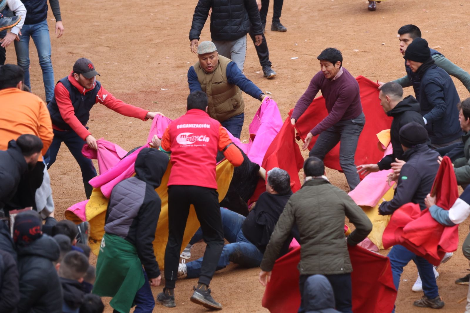 Capea de domingo en el Carnaval del Toro 2026 de Ciudad Rodrigo