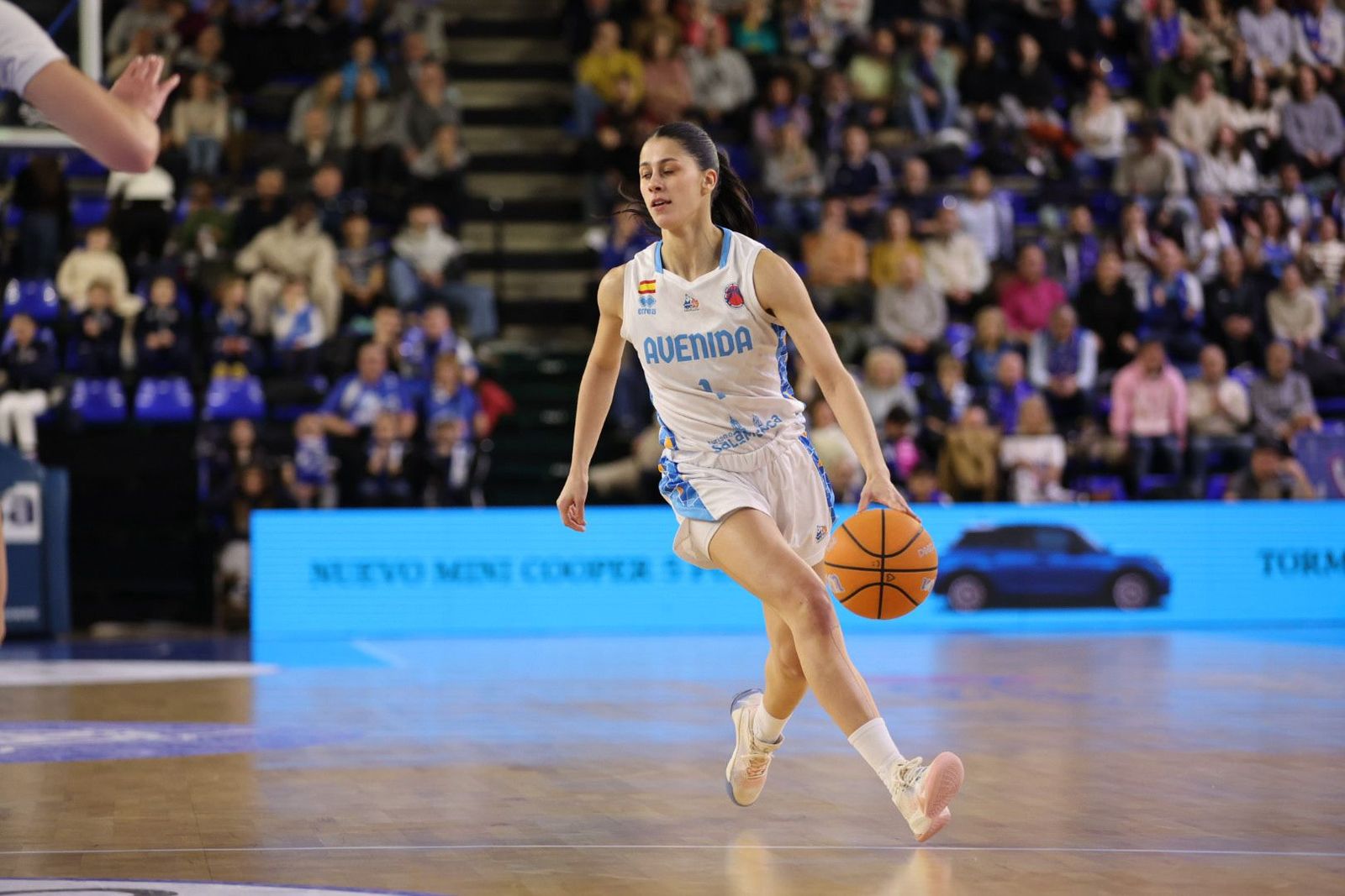 Perfumerías Avenida - Baxi Ferrol