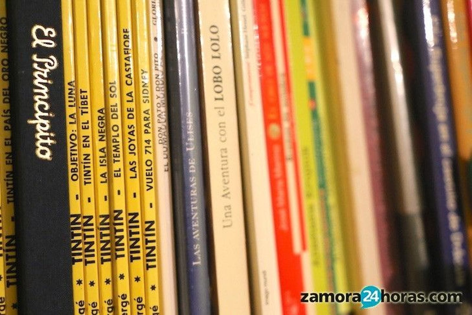 Comienza la campaña de recogida de libros del Consejo Local de la Juventud