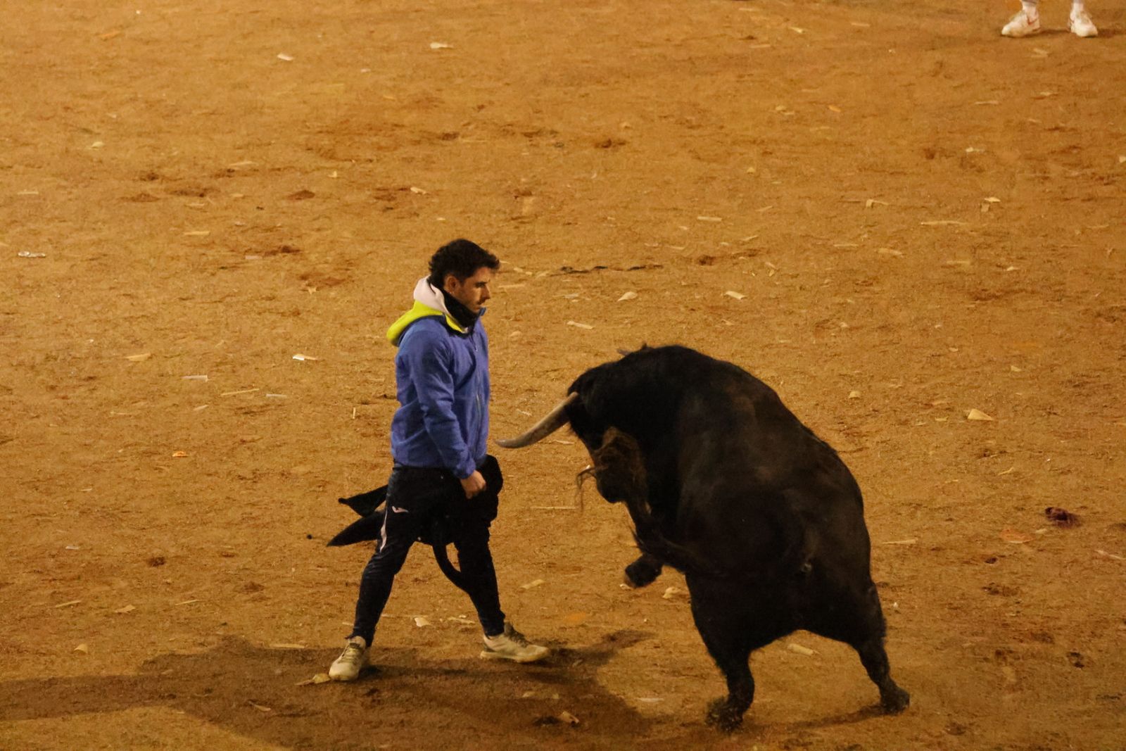 Capea Nocturna del Viernes en Ciudad Rodrigo