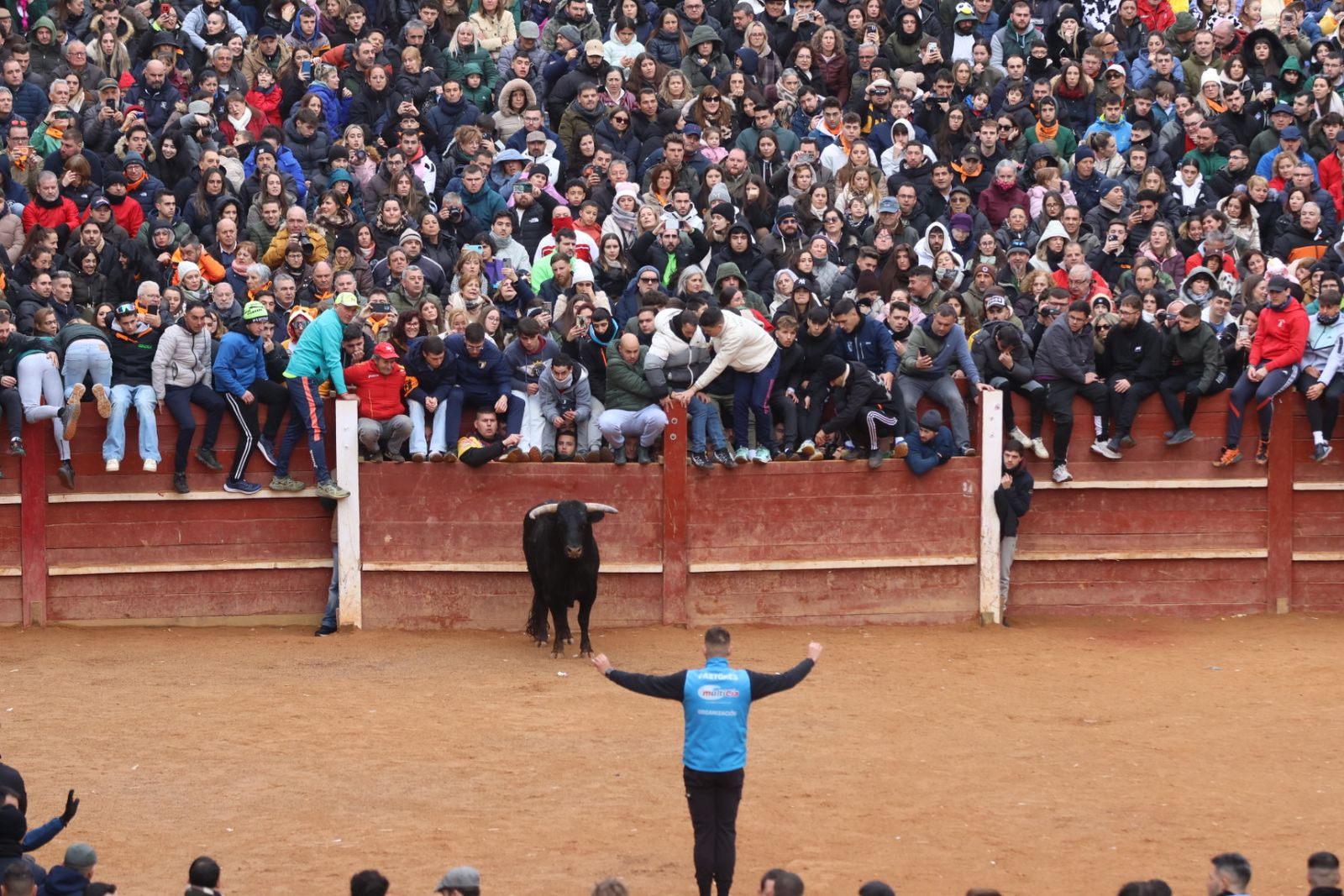 Capea de domingo en el Carnaval del Toro 2026 de Ciudad Rodrigo