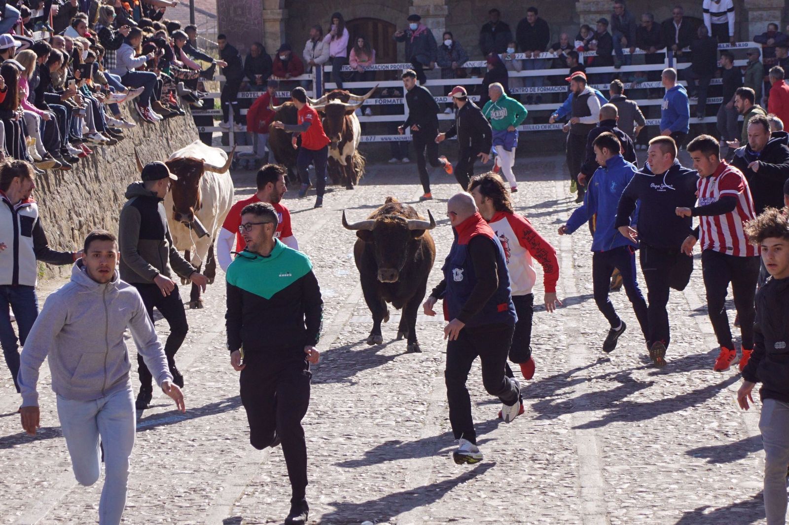 encierro-capea-y-ambiente-en-ciudad-rodrigo-en-este-lunes-de-carnaval-39