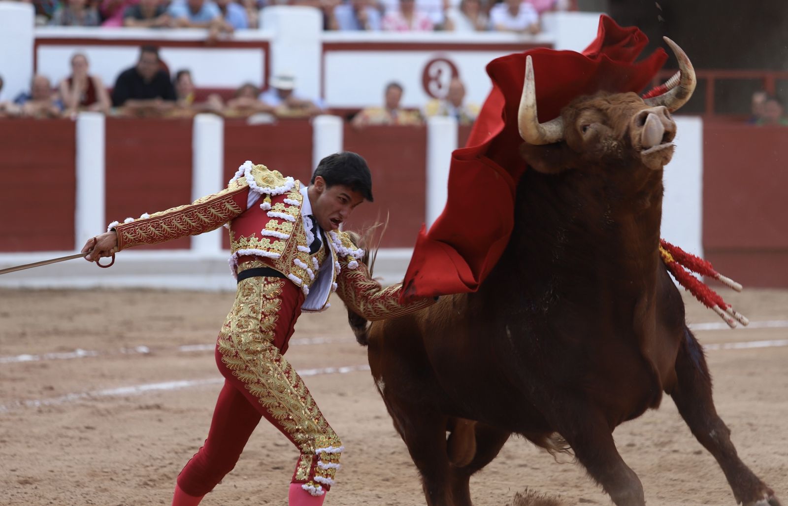 GALERÍA | Corrida de la Feria Taurina de San Pedro 2025