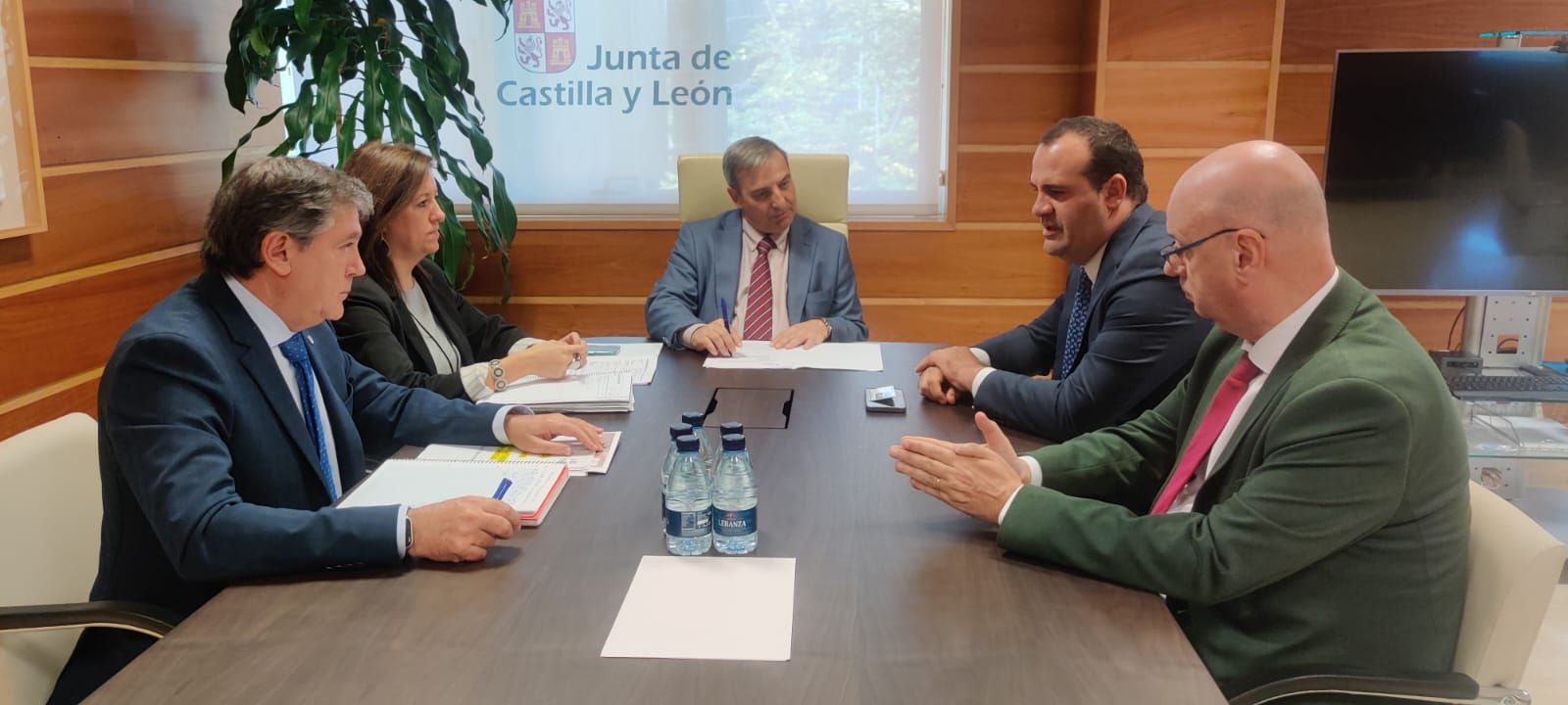 Luz verde al proyecto para la construcción de una pasarela peatonal y una pantalla antirruidos en la carretera de Alba