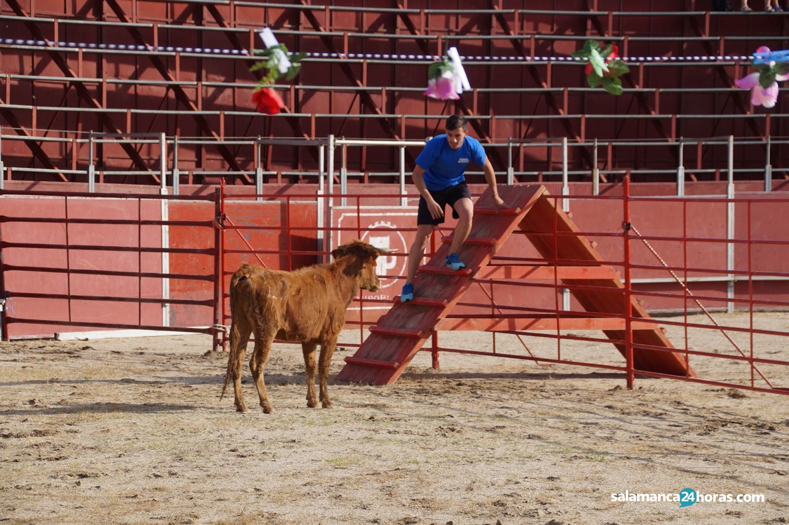 WhatsApp Image 2018 07 27 at 19.53.33 (3)