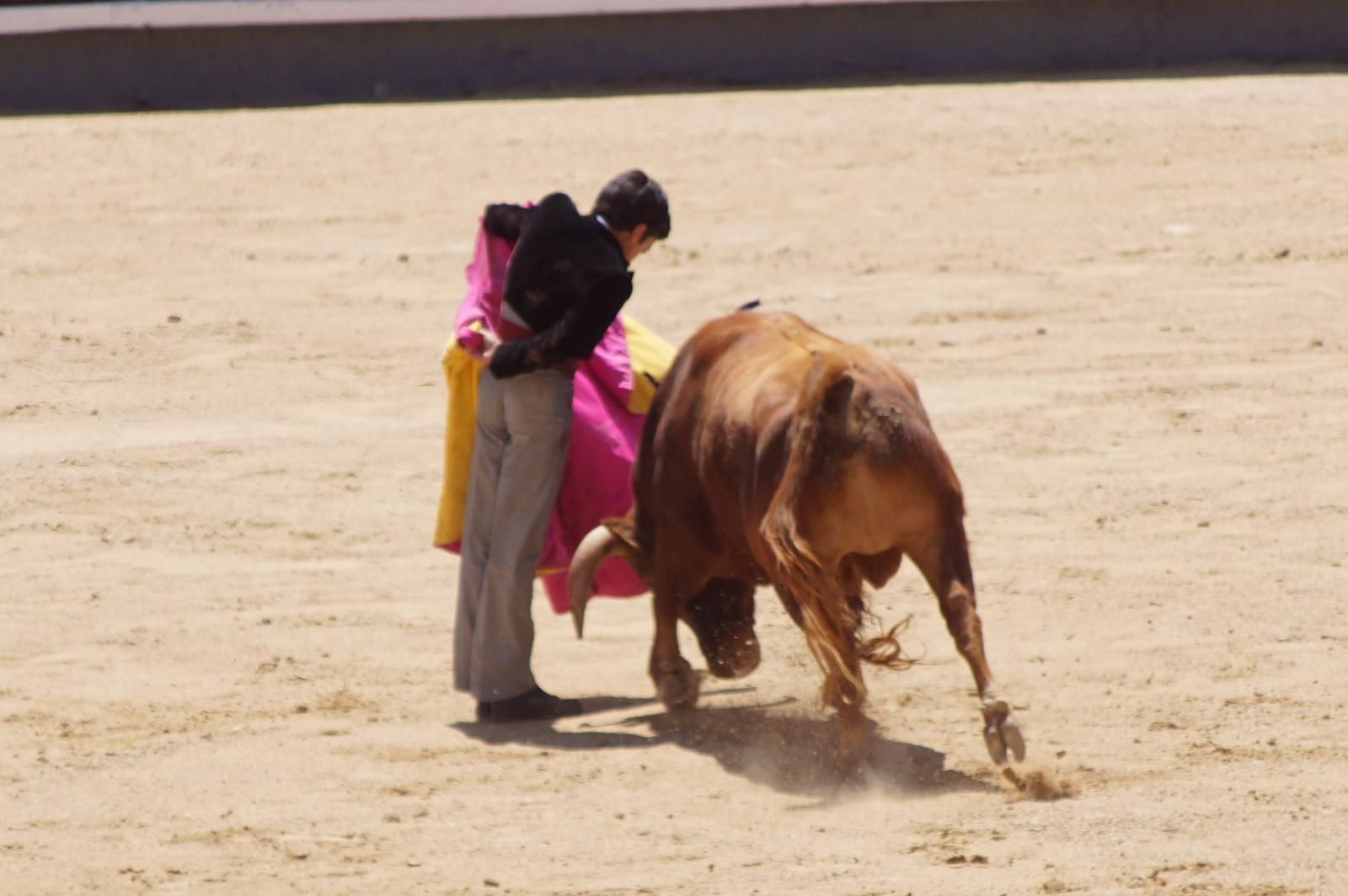 marco-perez-estreno-de-oro-en-las-ventas-1