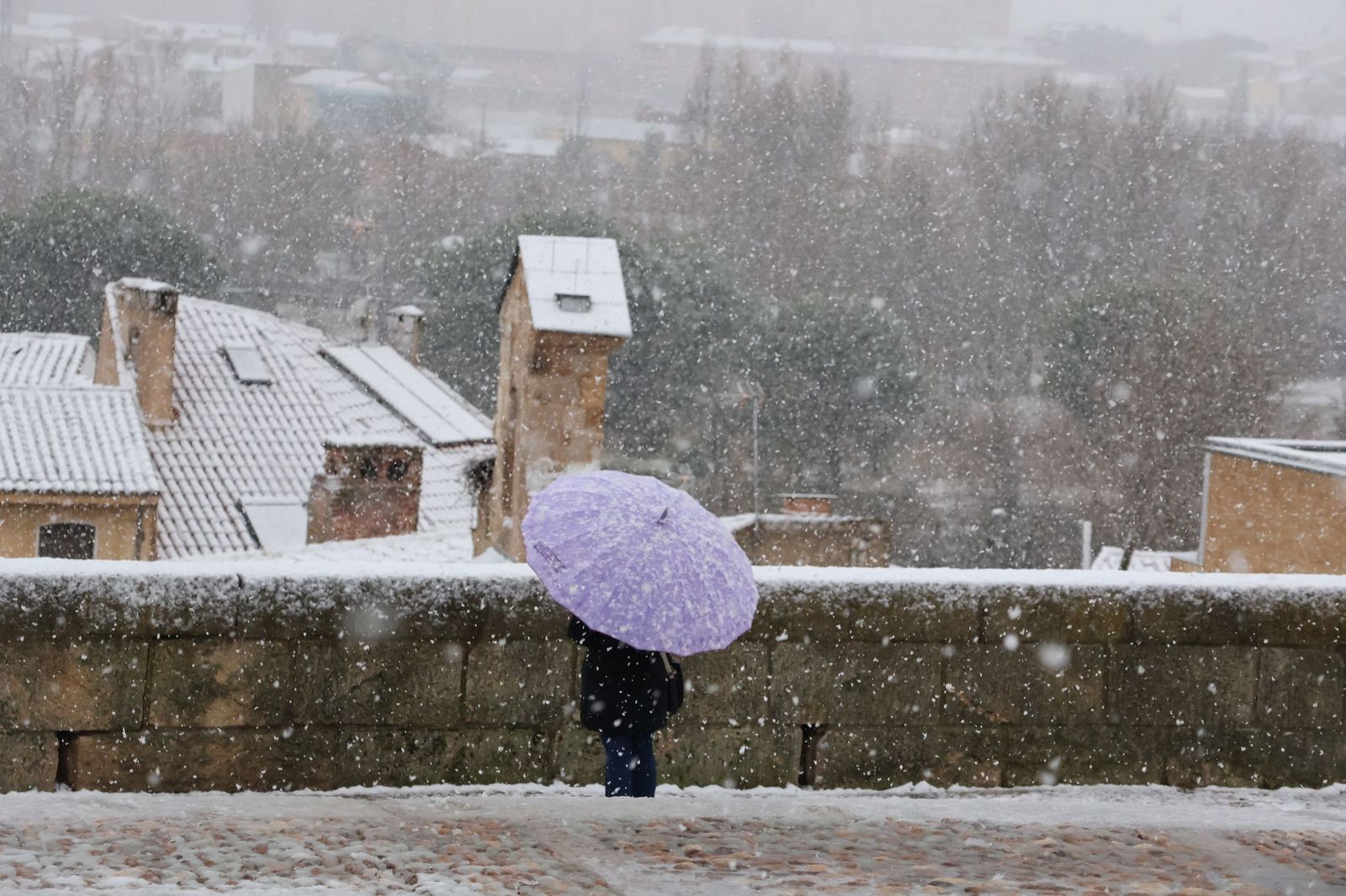 GALERÍA | Nieve en Zamora capital este miércoles