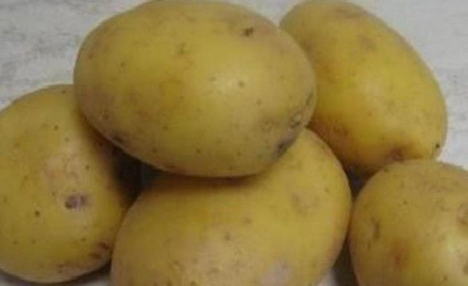 La patata inicia la cotización entre polémica