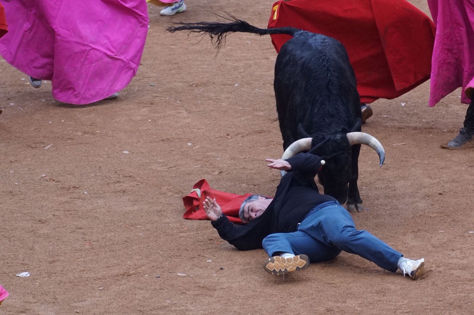 Capea matinal de domingo de carnaval en Ciudad Rodrigo (45).jpeg
