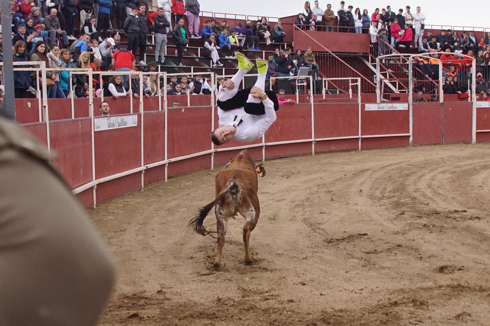 whatsapp-image-2023-05-22-at-20-19-08