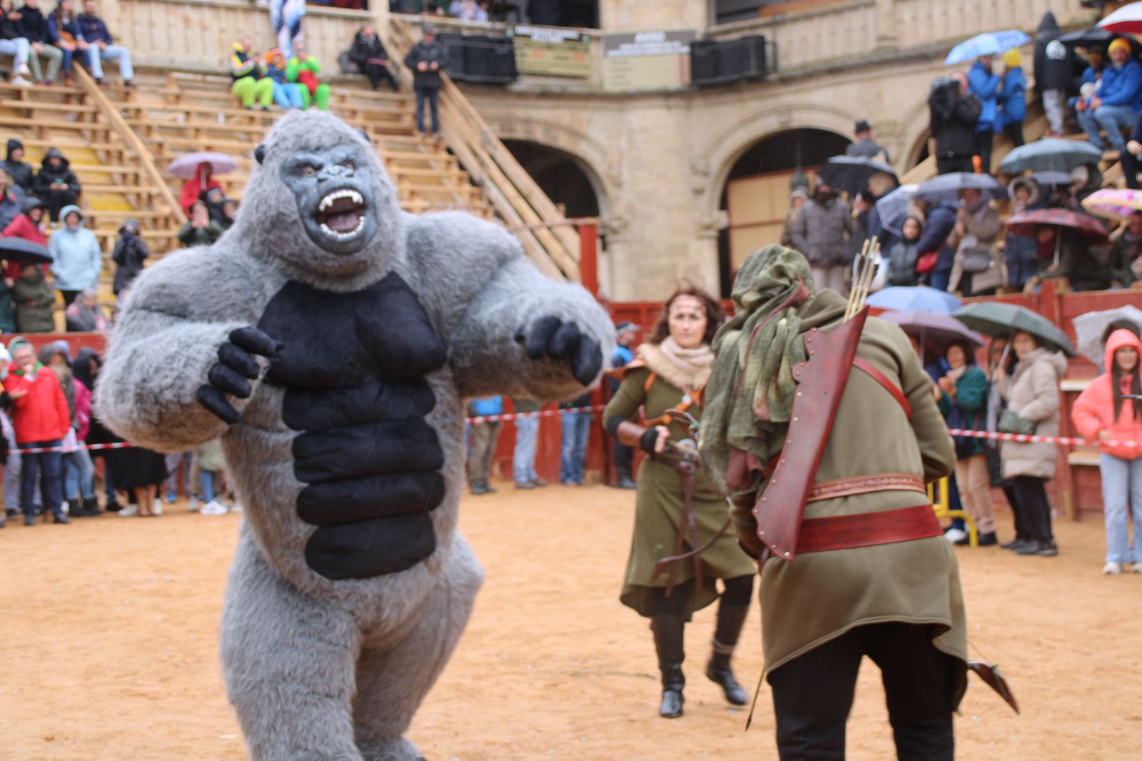 desfile-disfraz-callejero-sabado-carnaval-ciudad-rodrigo-2025-46