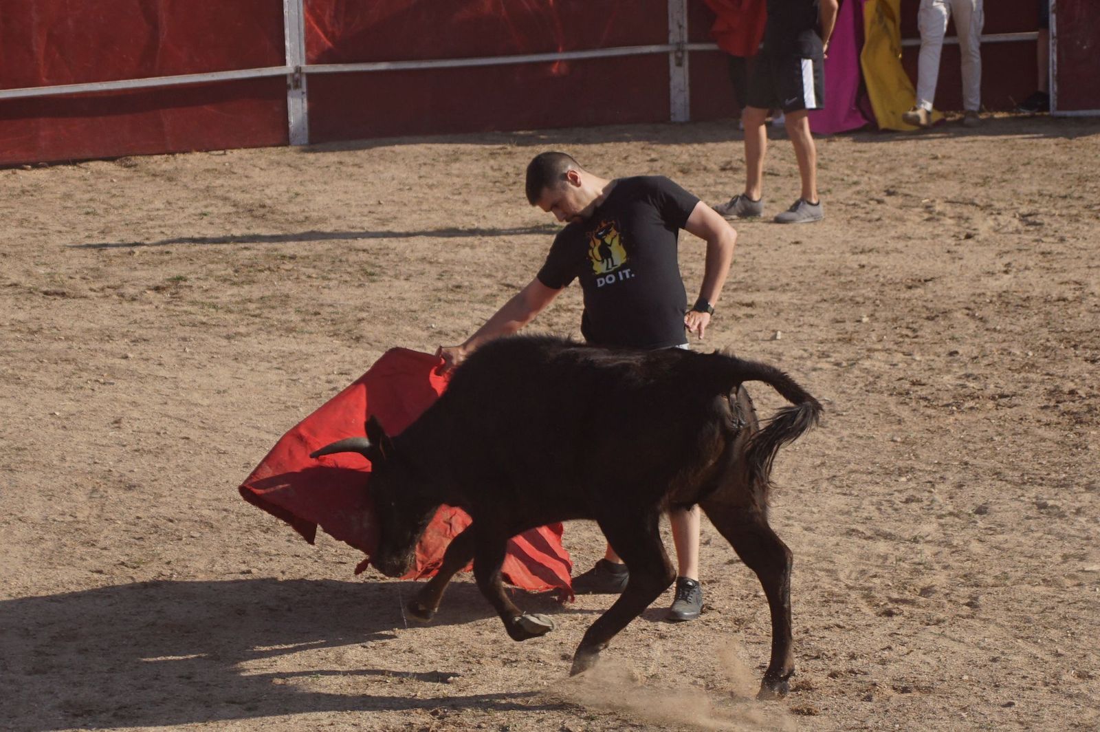 capea-fiestas-de-carrascal-de-barregas-25