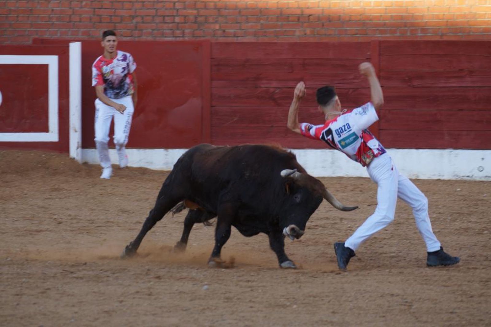 whatsapp-image-2021-07-03-at-21-51-45-10