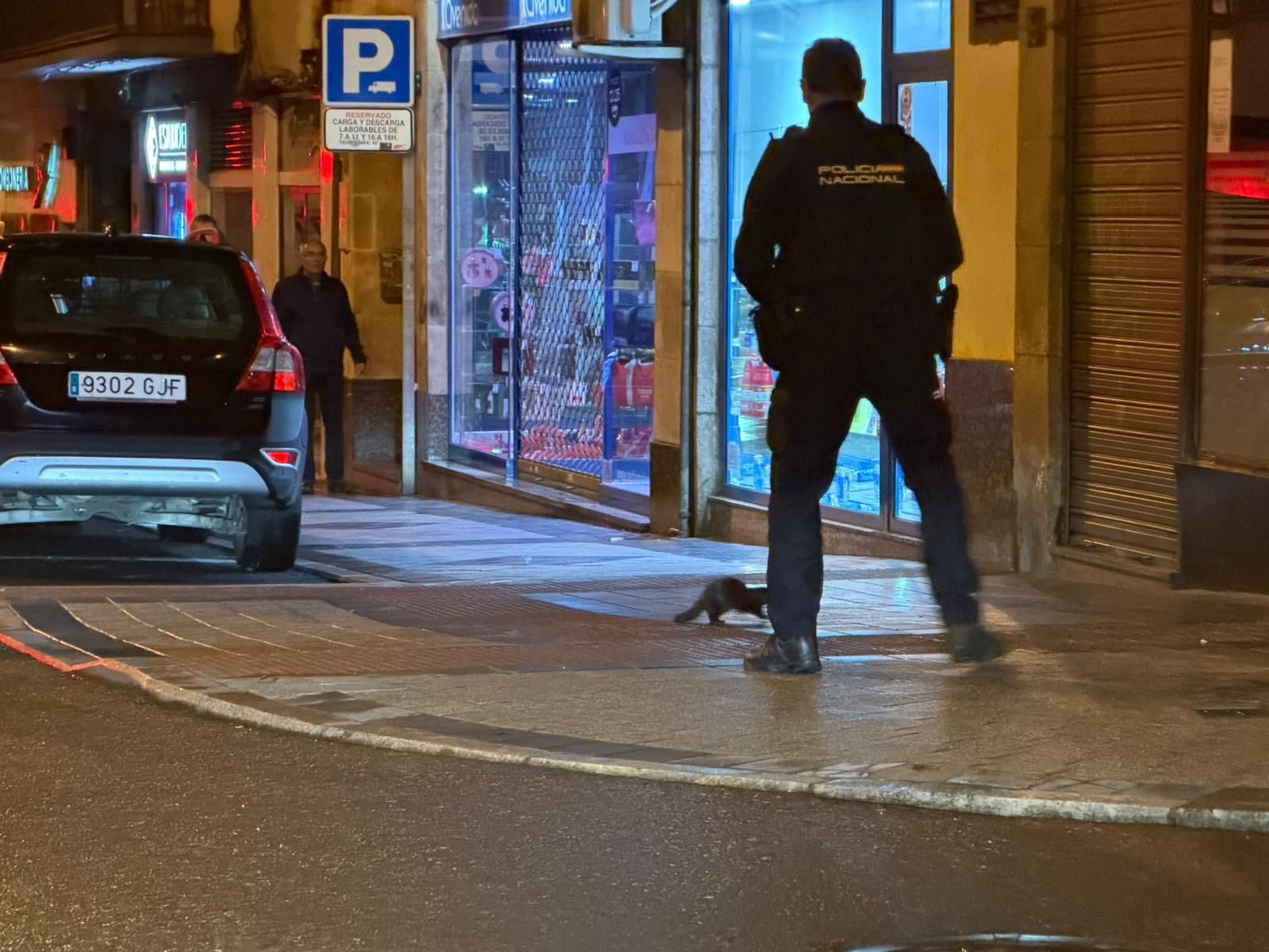 La Policía Nacional persigue a un visón por las calles de Salamanca