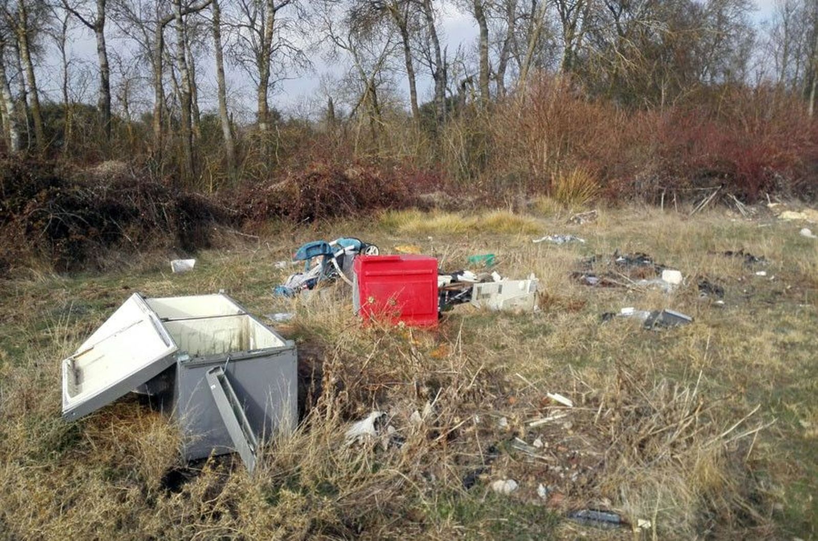 Vertedero ilegal zamora carrascal