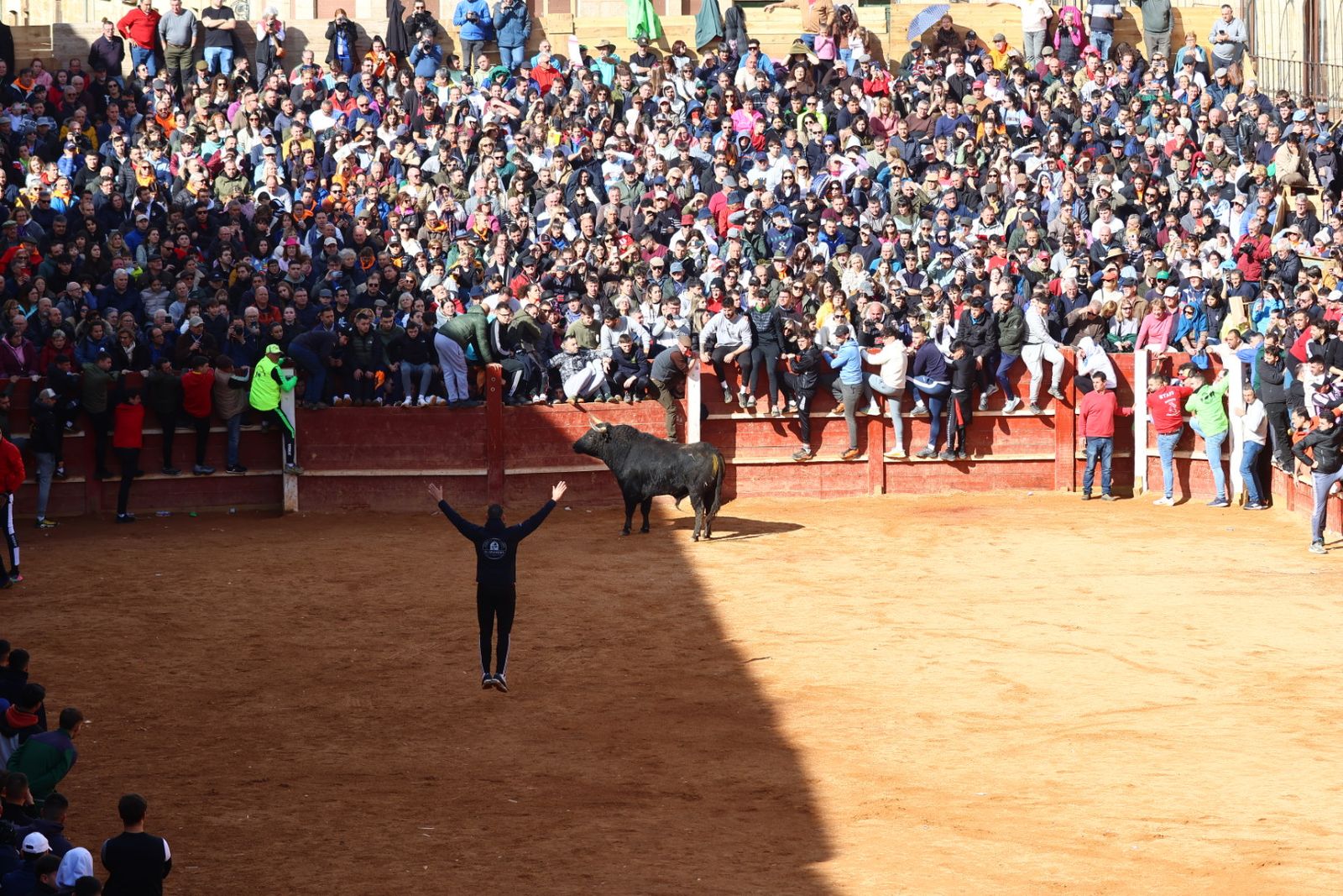 Capea de mañana en el martes del Carnaval del Toro de Ciudad Rodrigo
