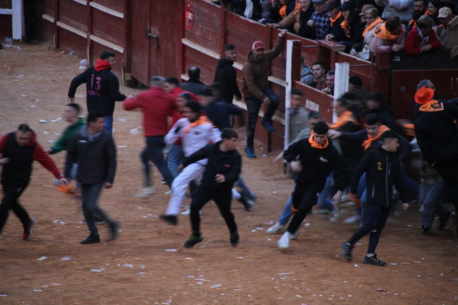 encierro-mansos-carnaval-del-toro-2