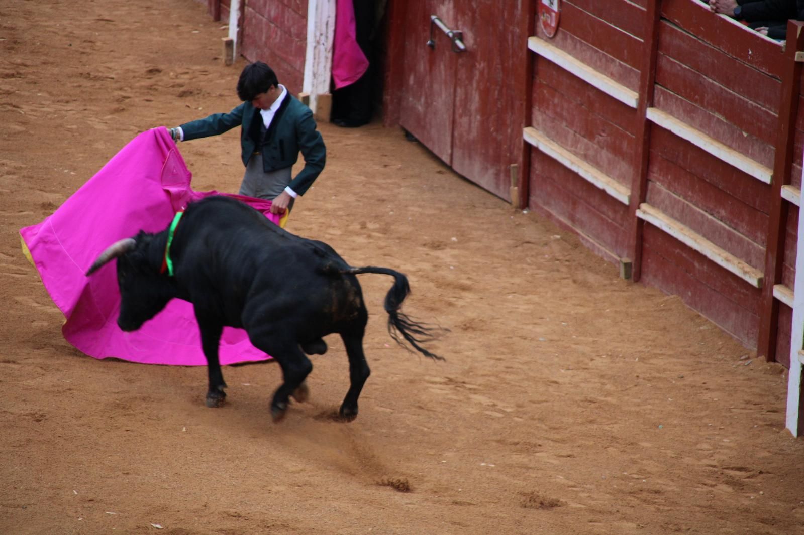 whatsapp-image-2025-03-02-at-18-54-52