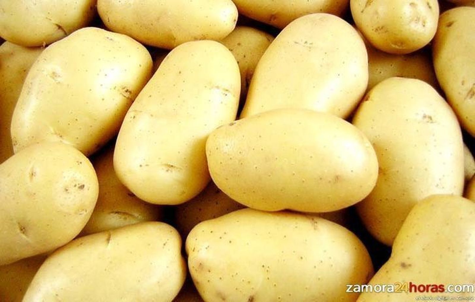 UCCL sugiere a los cultivadores de patatas que no vendan por debajo de los costes de producción