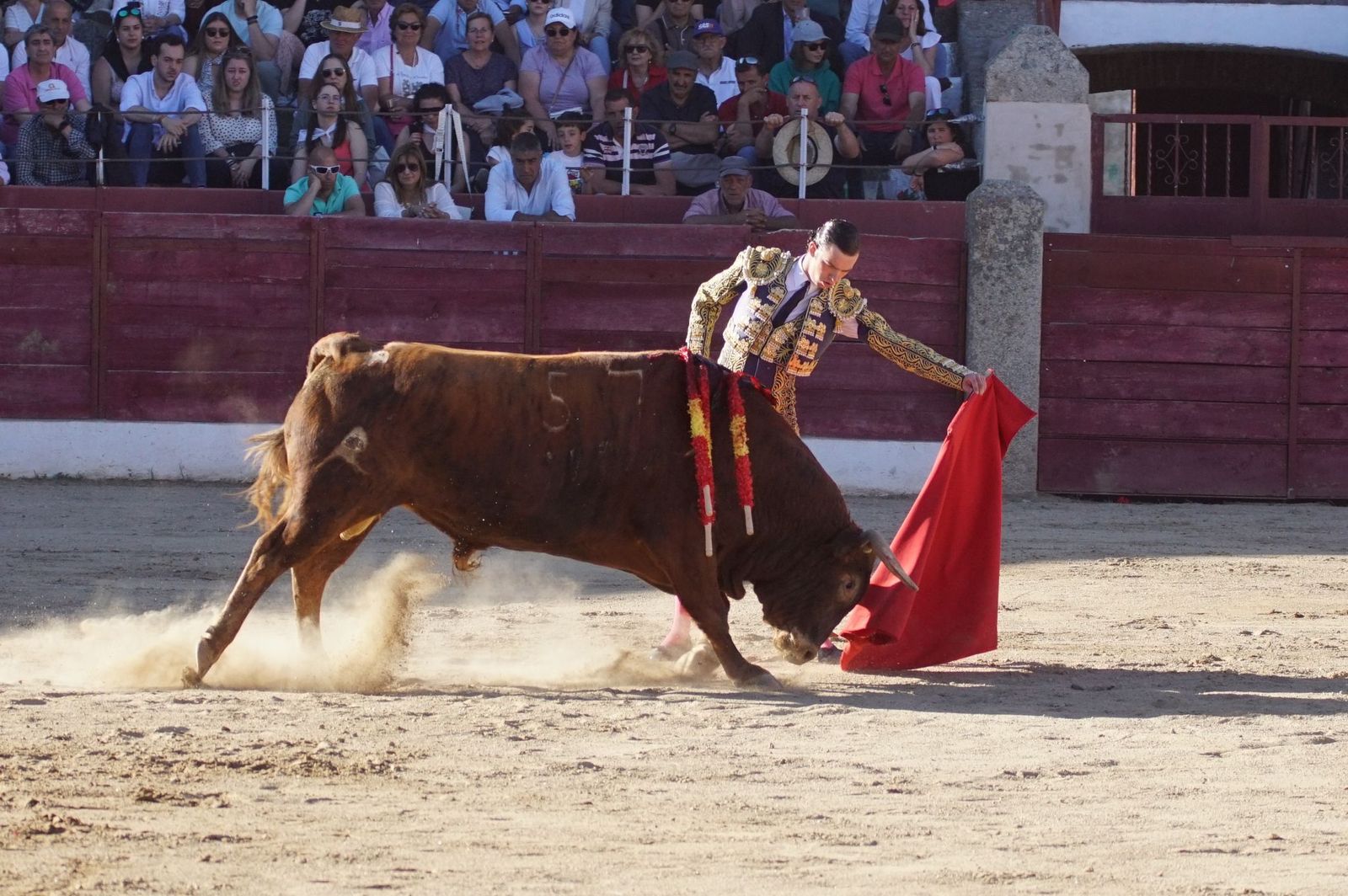 whatsapp-image-2024-06-02-at-22-11-57-1