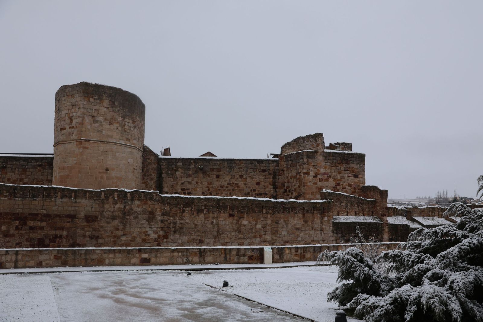 GALERÍA | Nieve en Zamora capital este miércoles