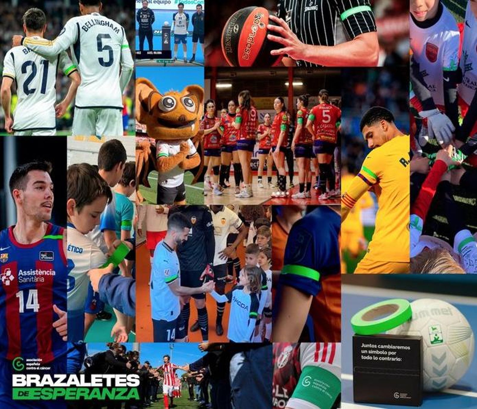 Brazaletes verdes.  AECC