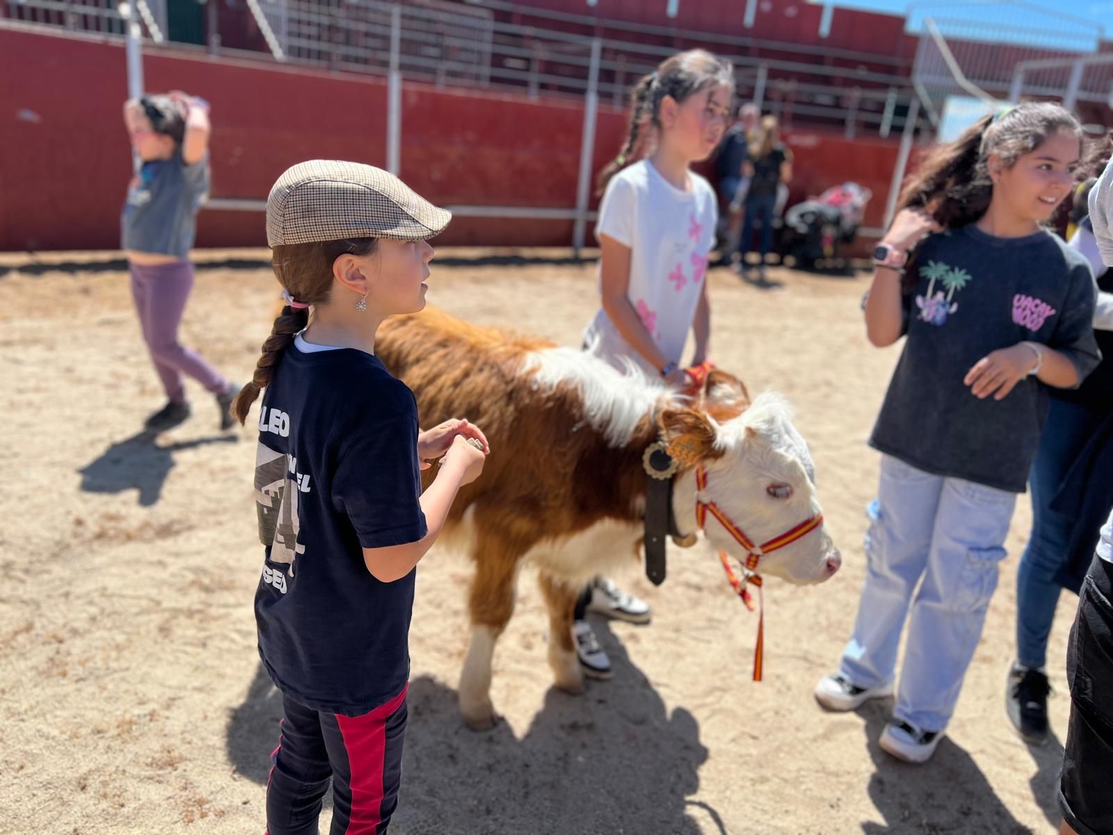 mini-bueyes-en-elas-fiestas-de-doninos-2025-37