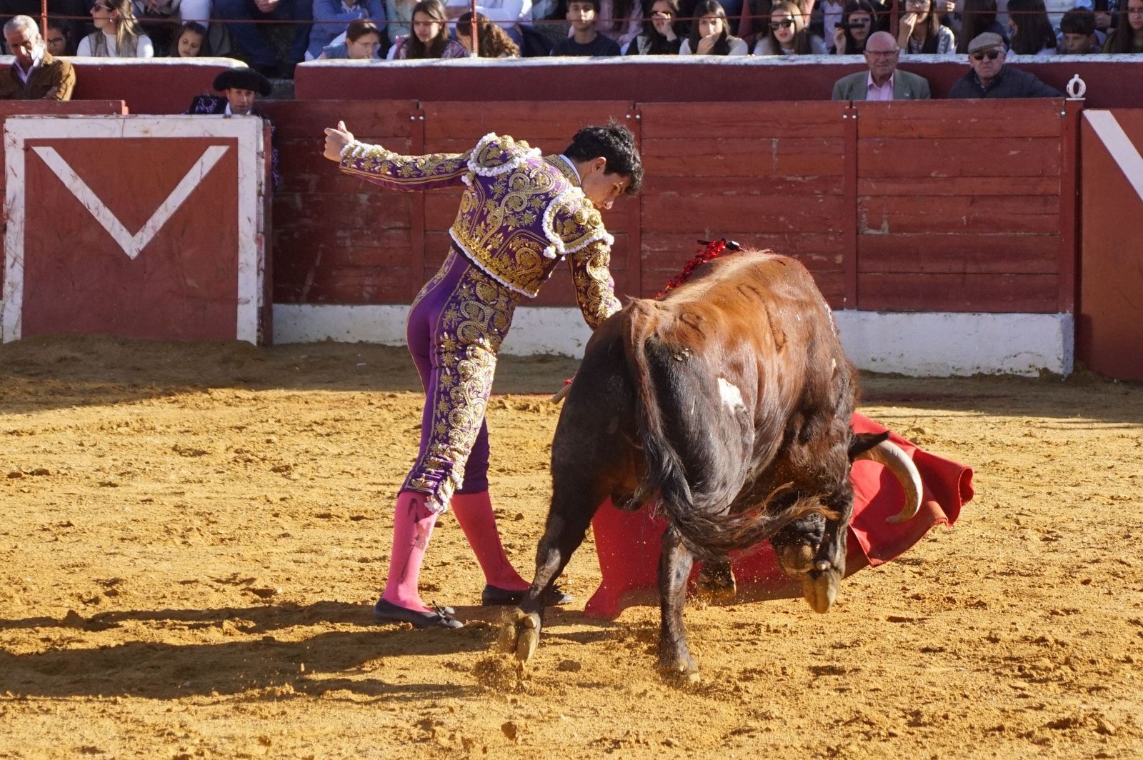 novillada-con-picadores-en-villoria-58