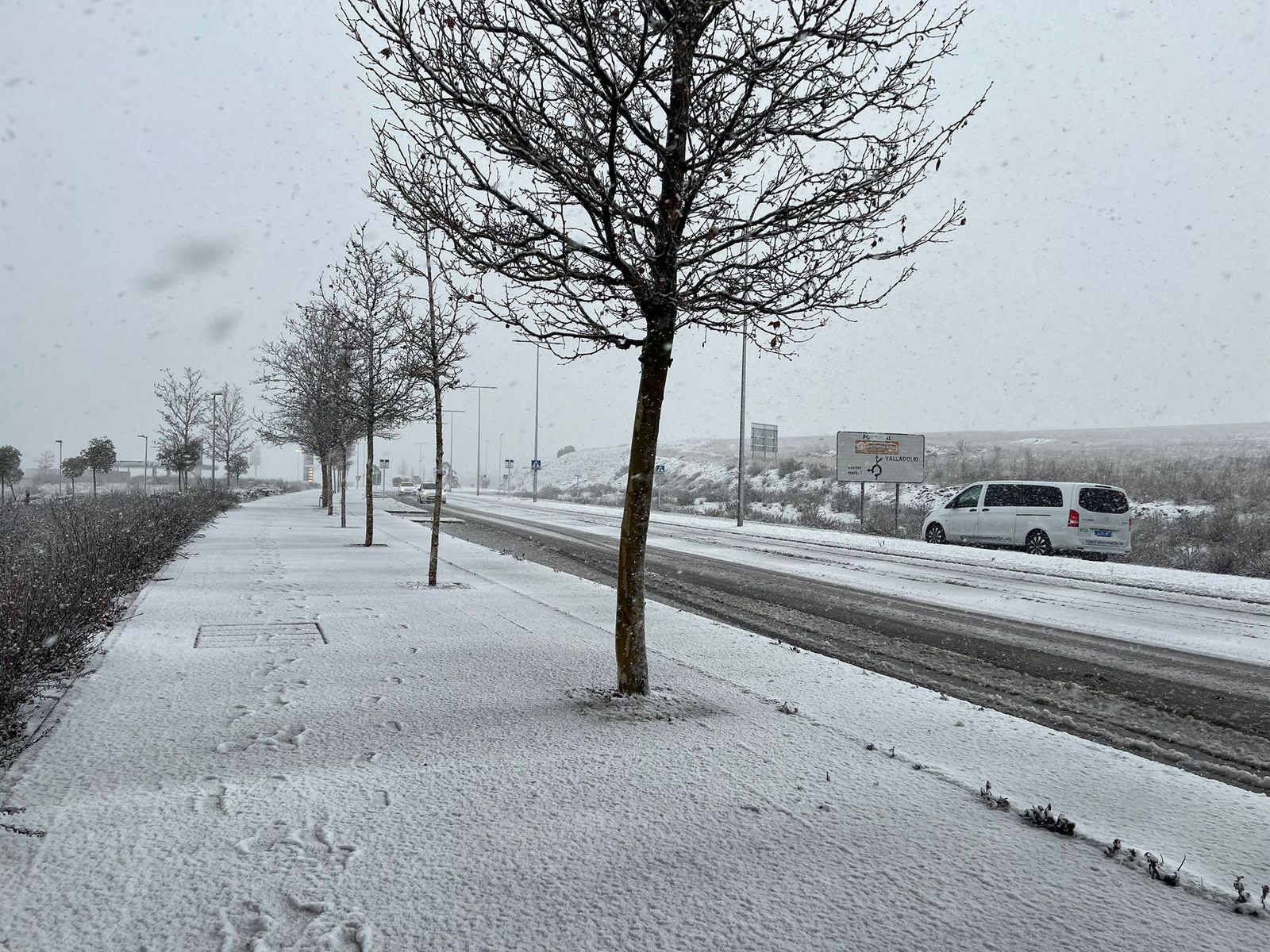 Nevada en Salamanca 28 de enero 2026