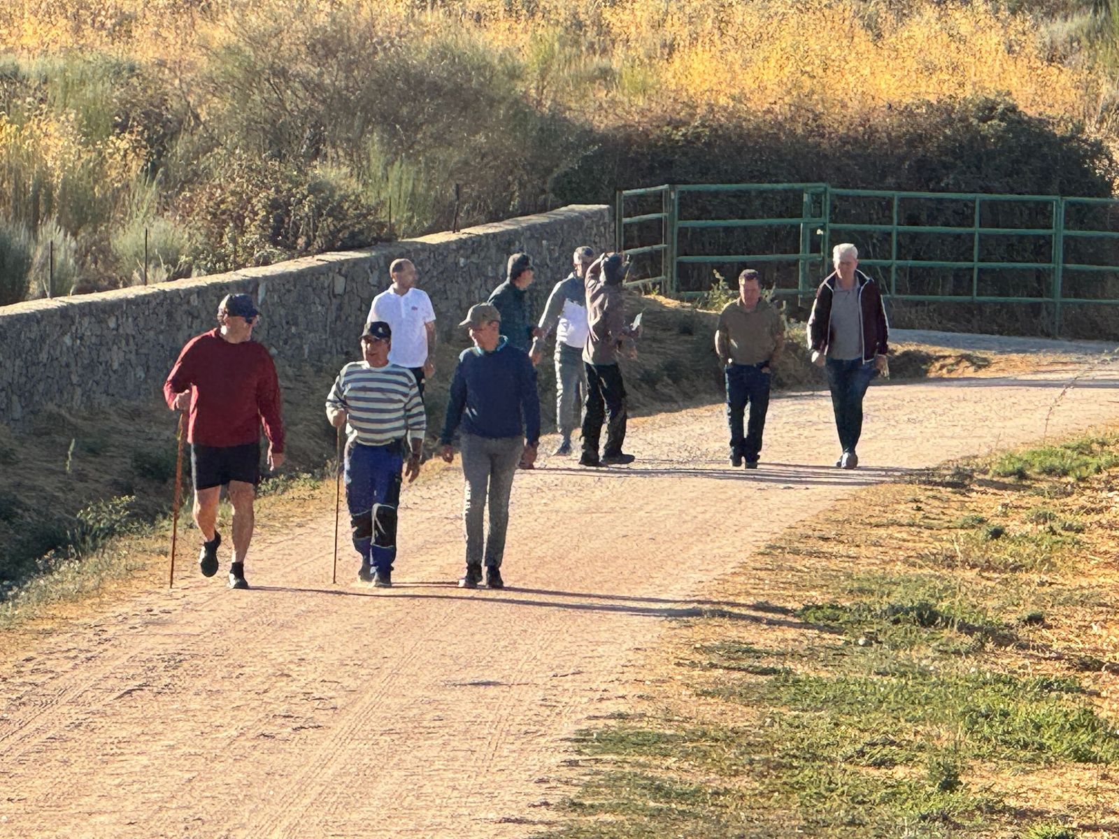 Último encierro a caballo en Aldeadávila de la Ribera con reses de Valrubio