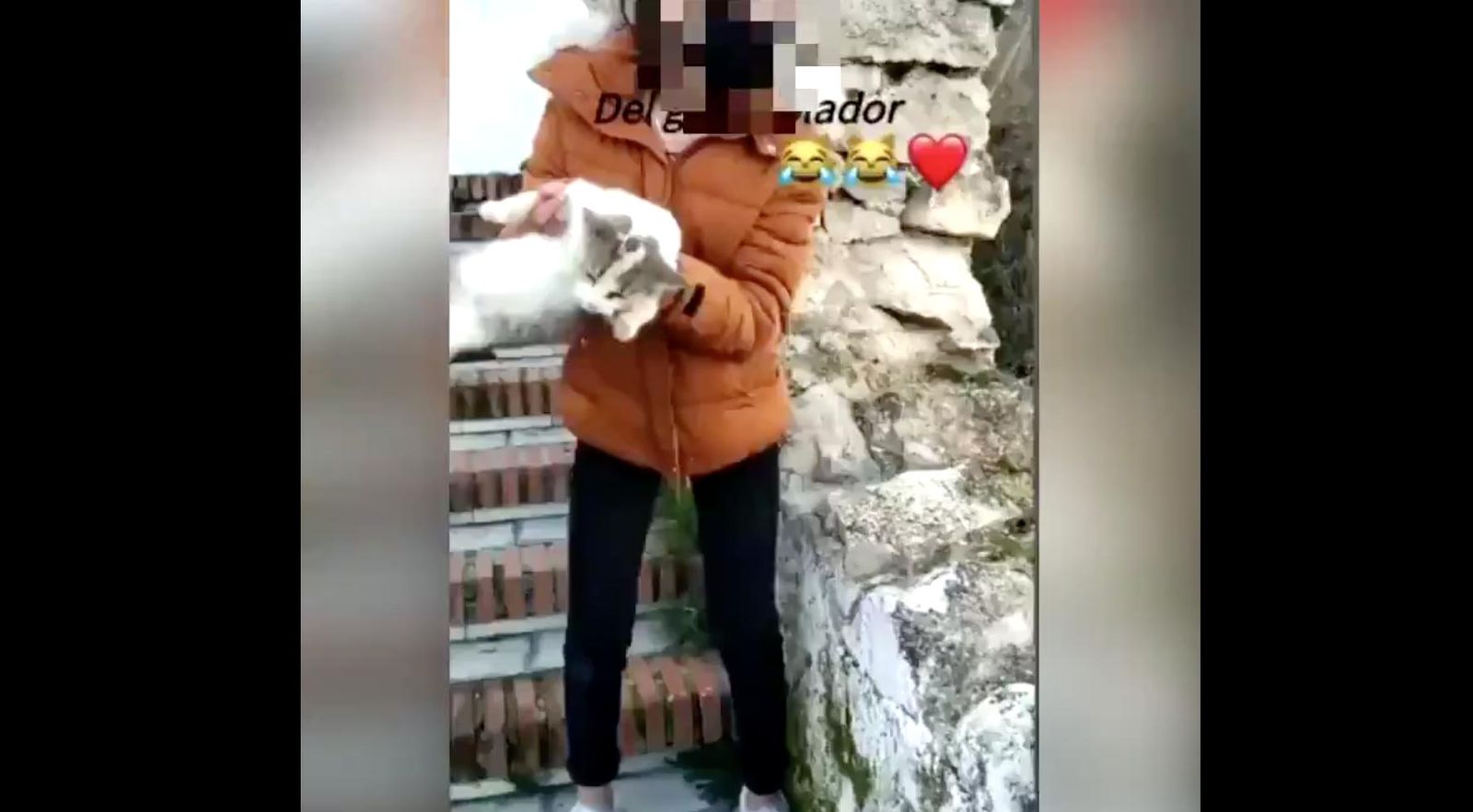 Un fotograma del vídeo compartido