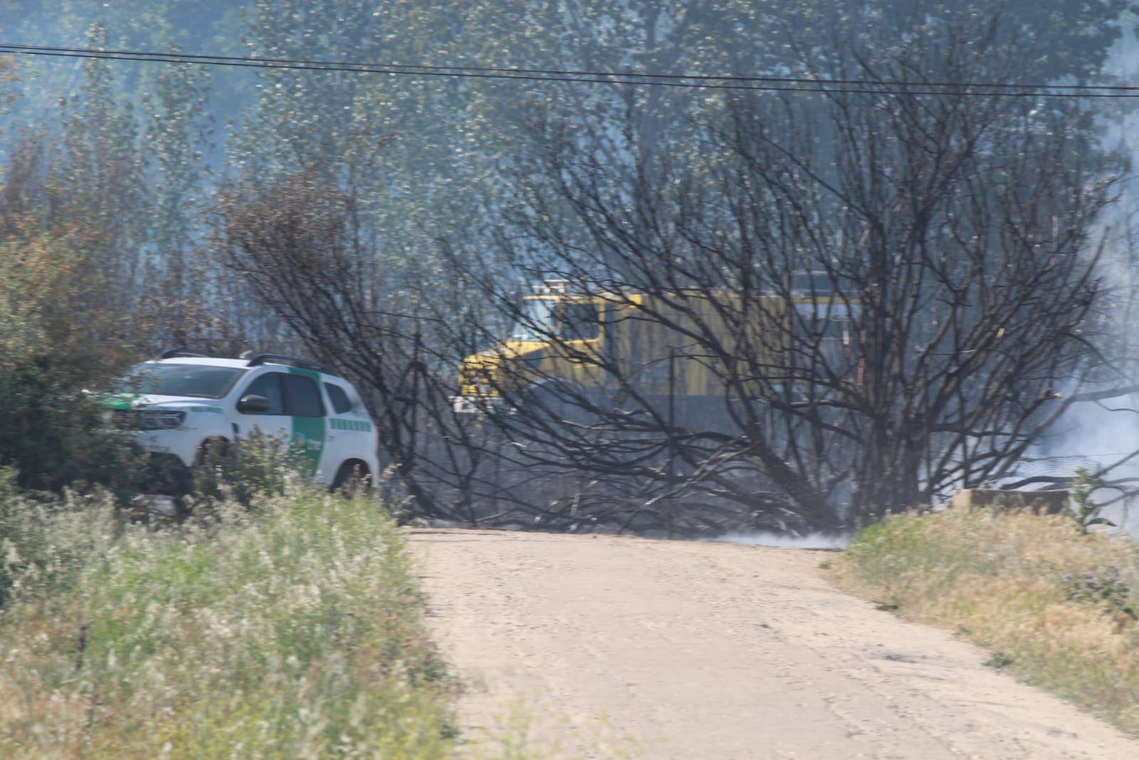 whatsapp-image-2023-05-09-at-18-17-39