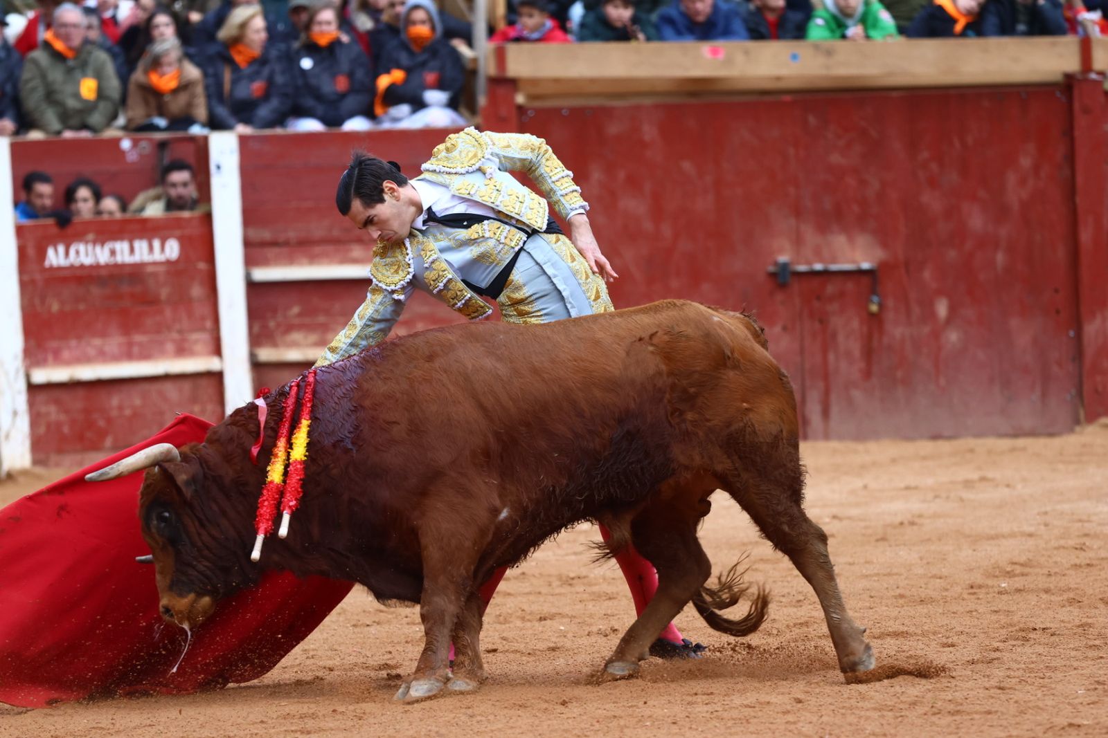 Novillada con picadores de lunes en el Carnaval del Toro de Ciudad Rodrigo 2026
