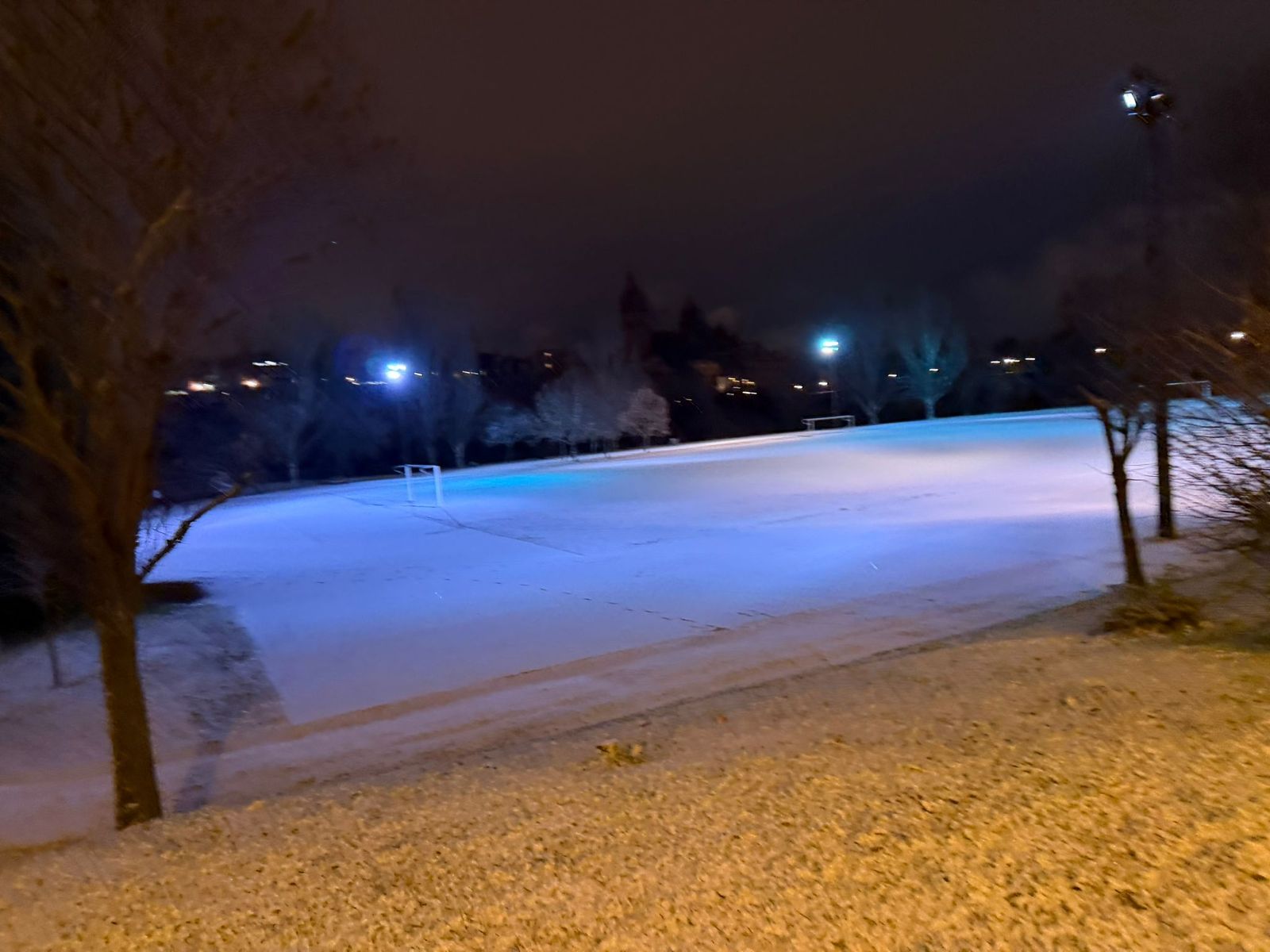 Nieve en Salamanca capital