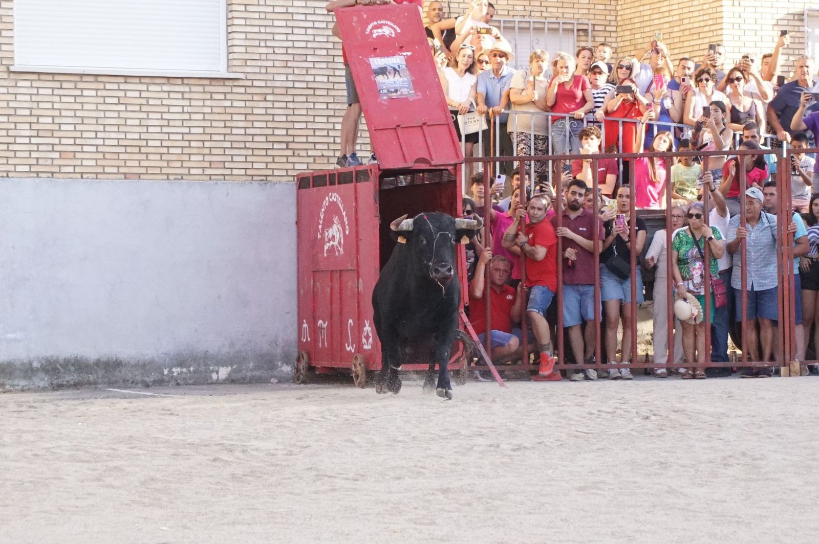 whatsapp-image-2024-08-04-at-21-09-57