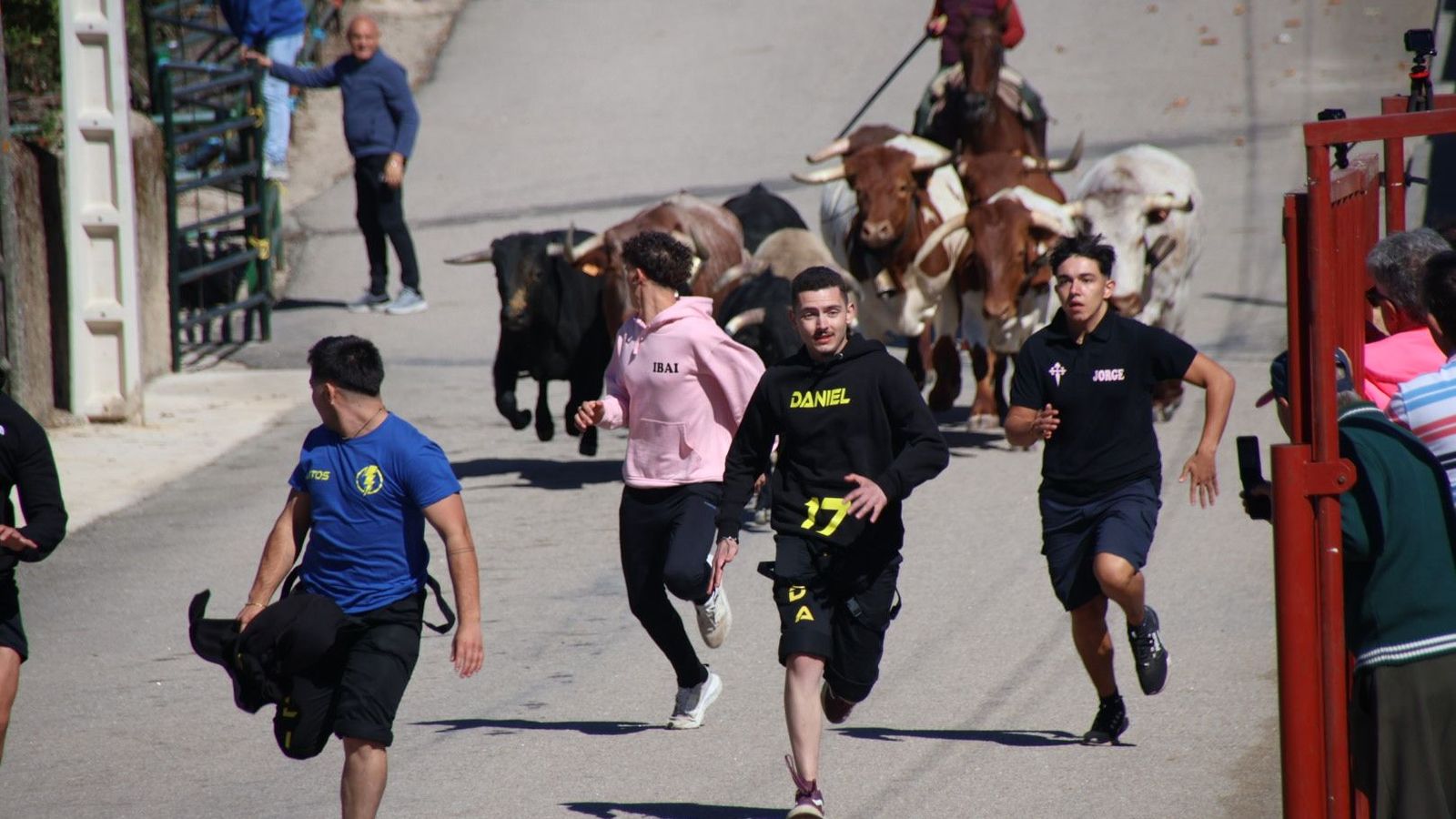 Encierro a caballo en Barruecopardo