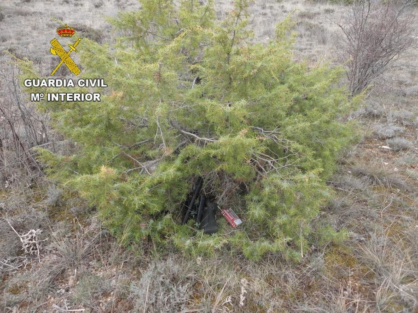 Sucesos.- Detenidos dos cazadores furtivos que intentaron atropellar a dos guard