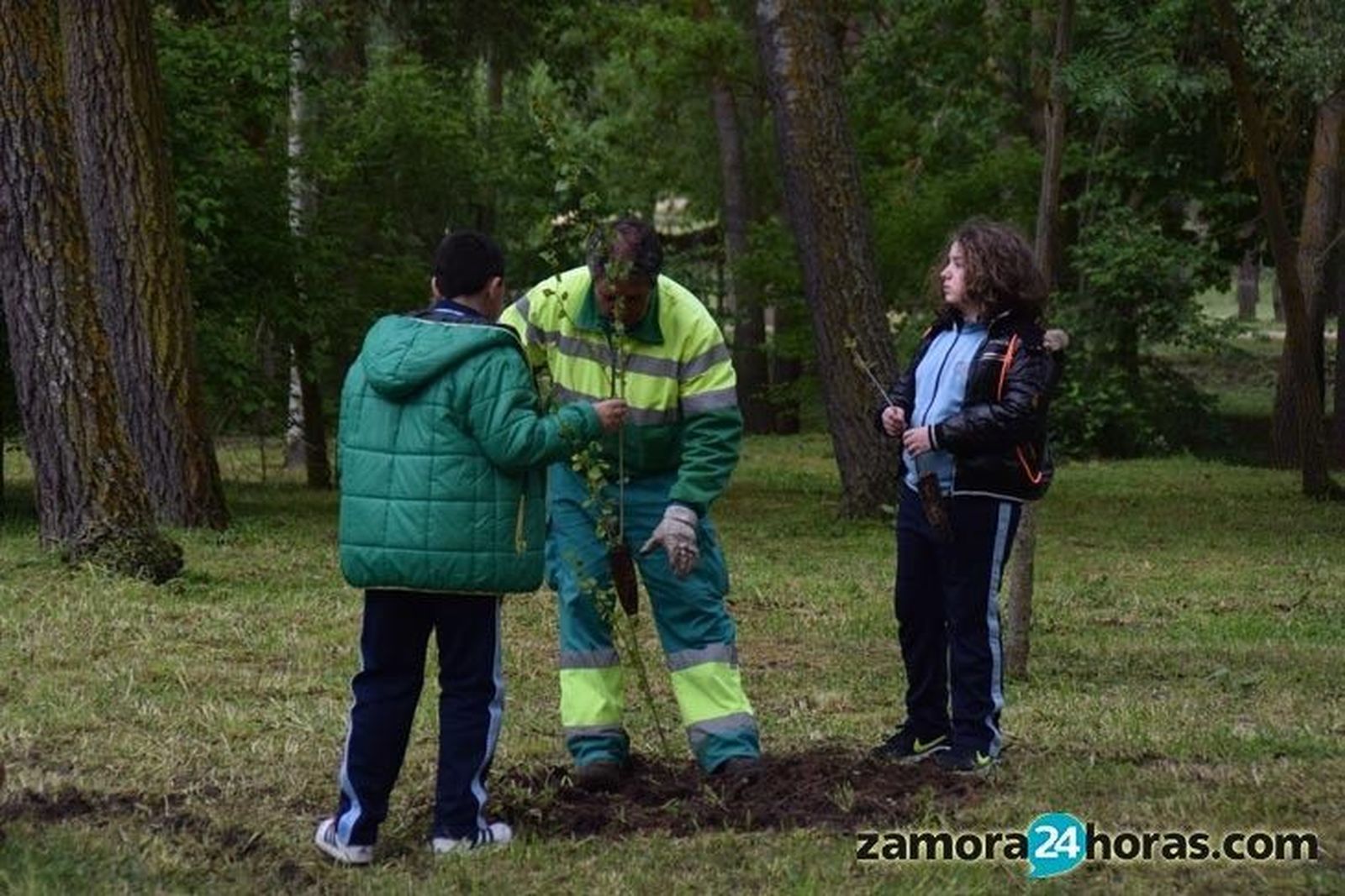 Plantación árboles Milagrosa 2016