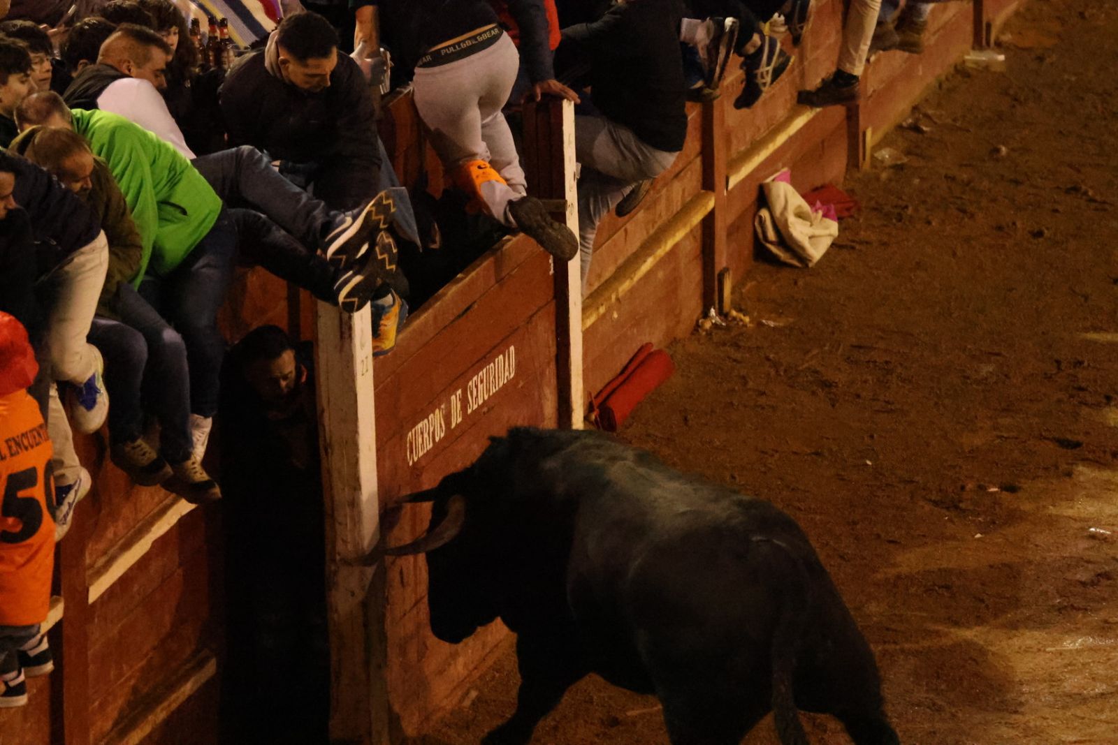 Capea Nocturna del Viernes en Ciudad Rodrigo