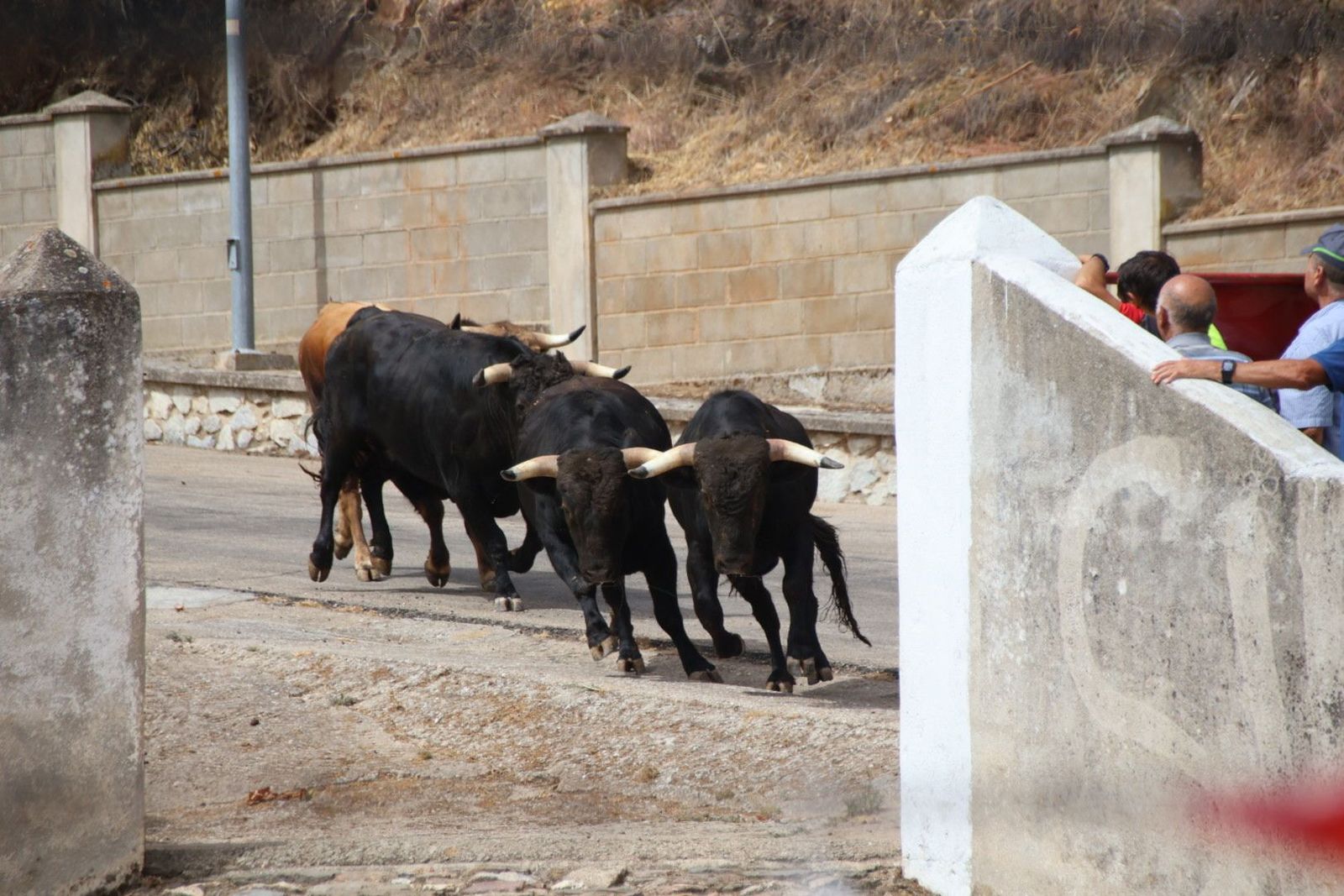 20230809113435-img-9527