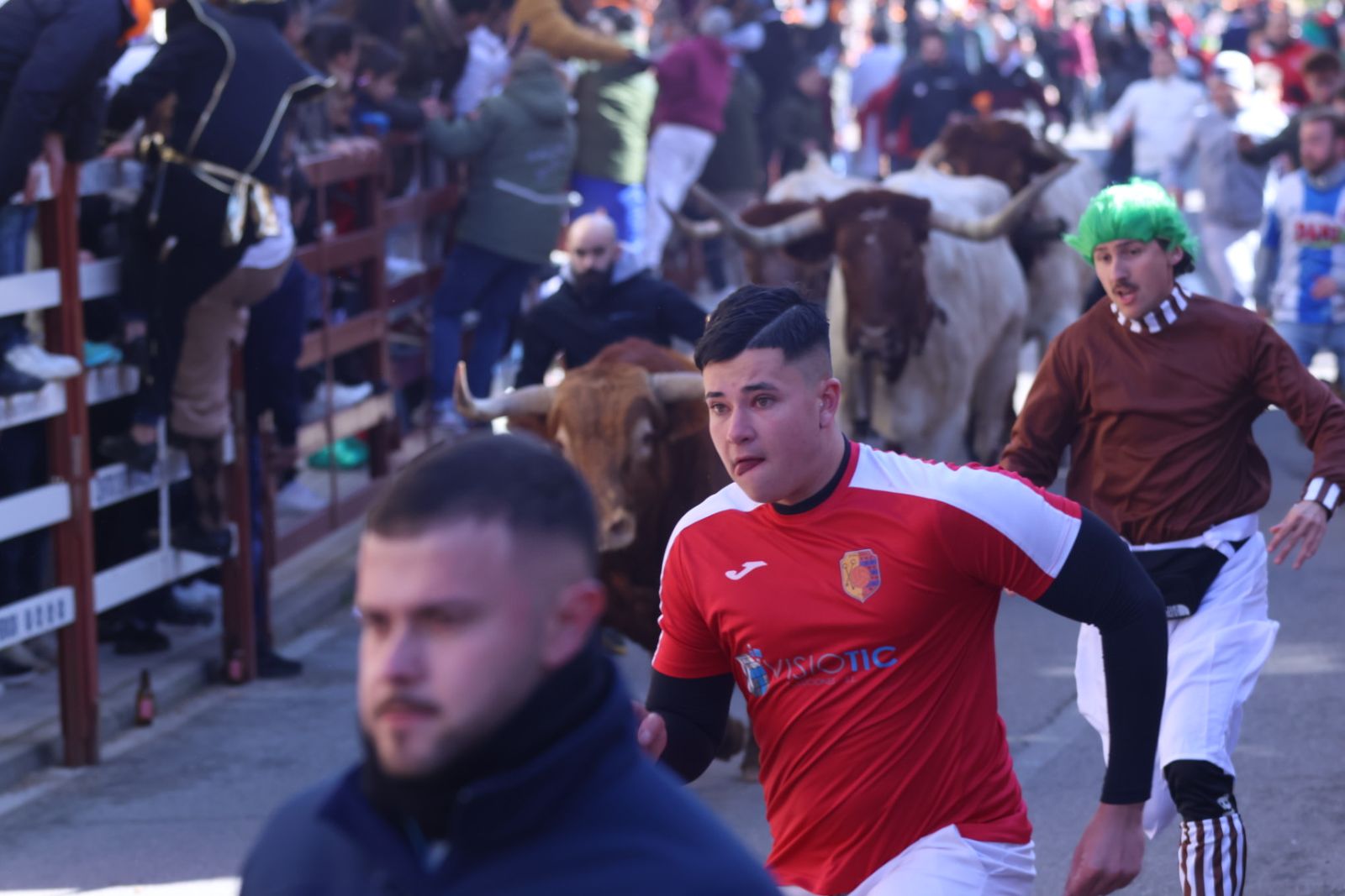 Encierro de sábado en el Carnaval del toro 2026 de Ciudad Rodrigo