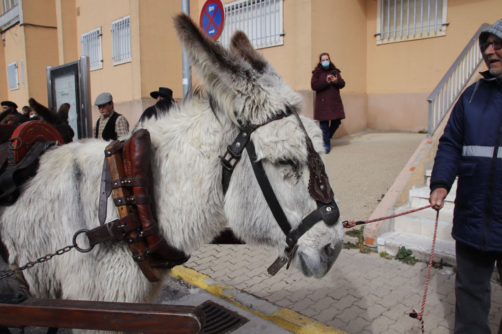 20220219130858-mg-8021