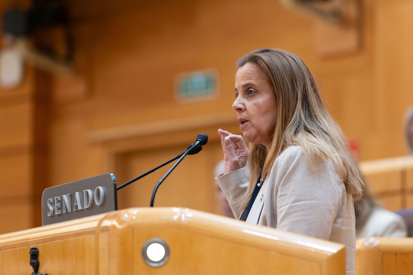 La portavoz de Economía del Grupo Parlamentario Popular y senadora por Salamanca, Esther del Brío La portavoz de Economía del Grupo Parlamentario Popular y senadora por Salamanca, Esther del Brío
