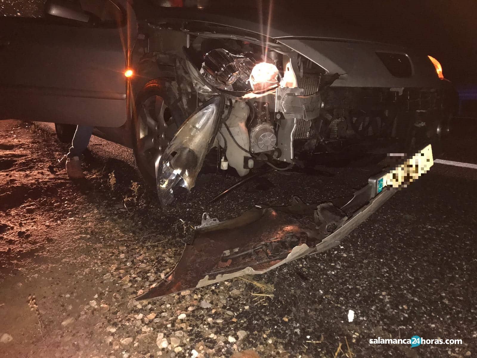 Accidente jabalí (2)