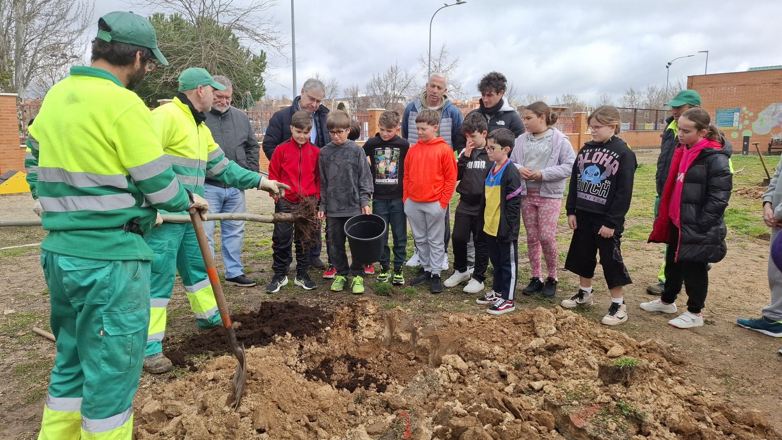 Plantación de plátanos en el parque canino