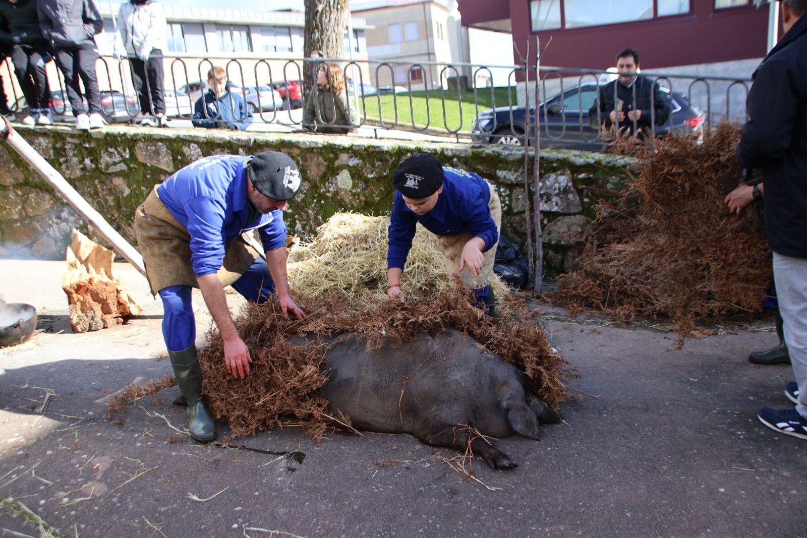 Guijuelo Matanza Típica