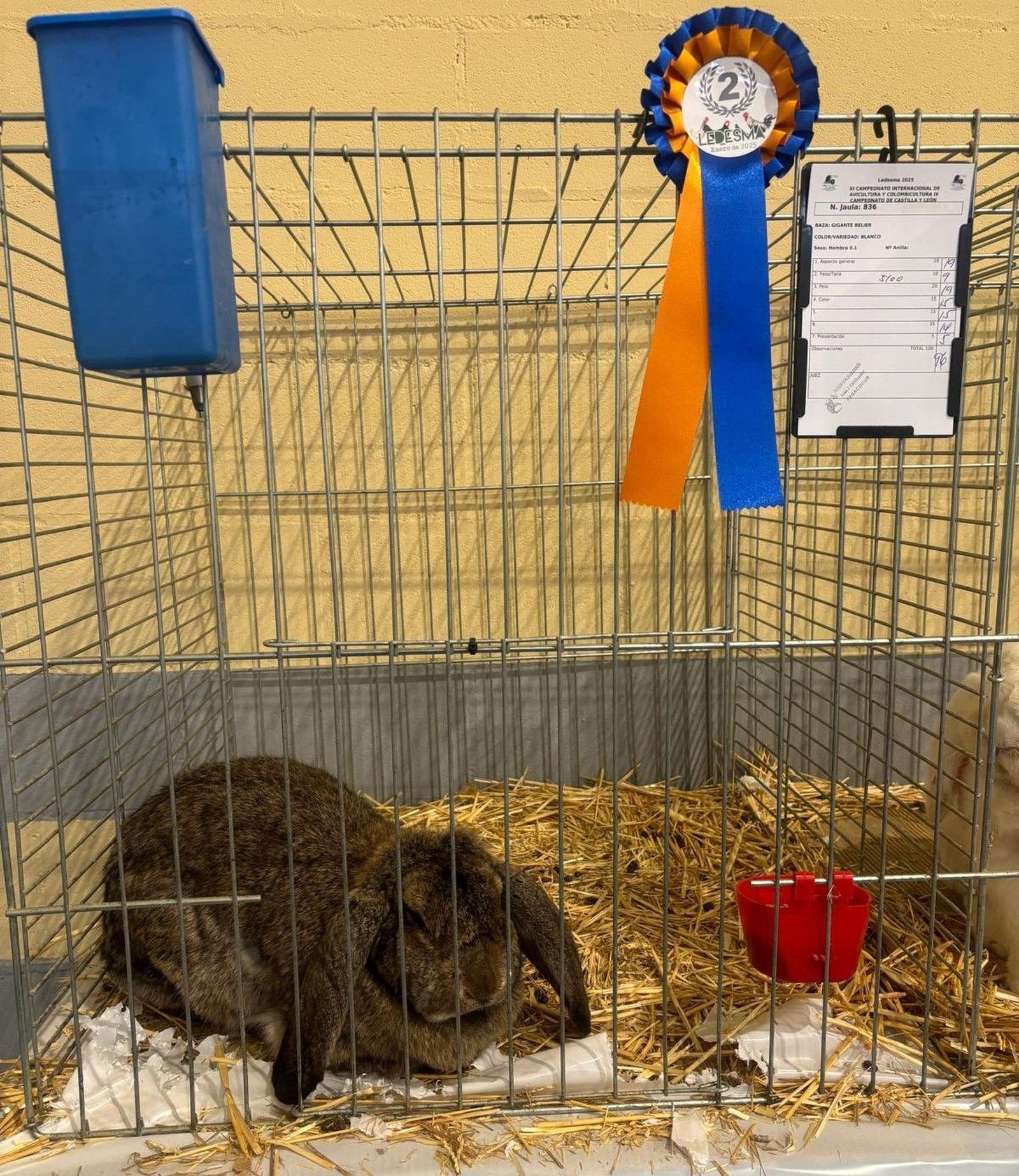 16494b57-adca-4810-9317-59bdd24bd6f3