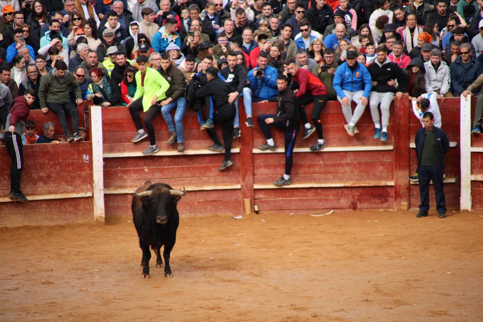 capea-matutina-del-martes-de-carnaval-22