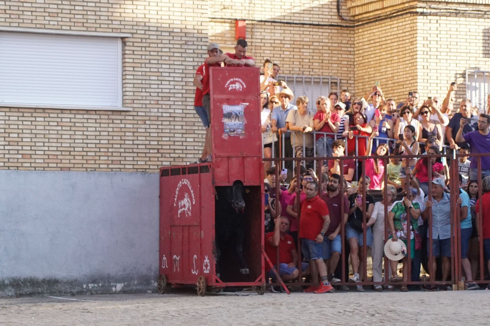 whatsapp-image-2024-08-04-at-21-09-58-1